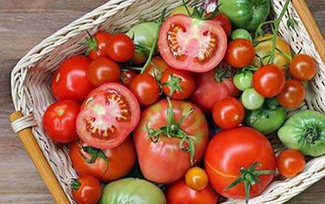 Как долго хранят томаты